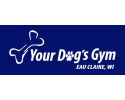 Your Dogs Gym
