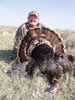 Dave Constantine 2008