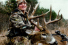 Joe Edin November 2012